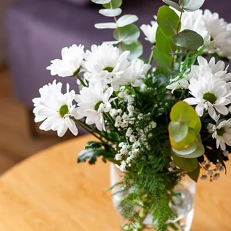 Del Mar * غدينيا